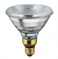 Philips InfraRed Heat Lamp Light PAR38 E27 230V 100W Clear